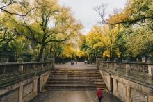 Park